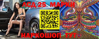 марки lsd Сланцы