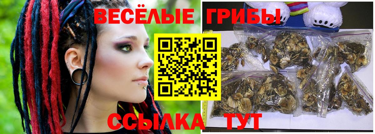 Партизанск  Галлюциногенные грибы GOLDEN TEACHER  Псилоцибиновые грибы GOLDEN TEACHER  Вход с VPN 